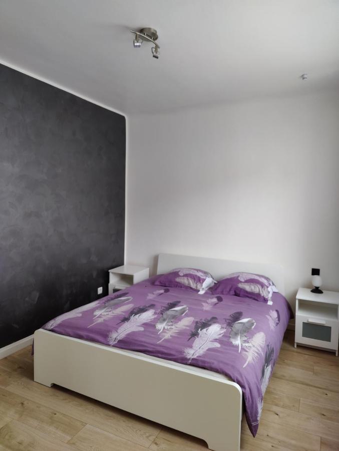Le Purple, Appartement De Standing En Hypercentre Sarreguemines Extérieur photo